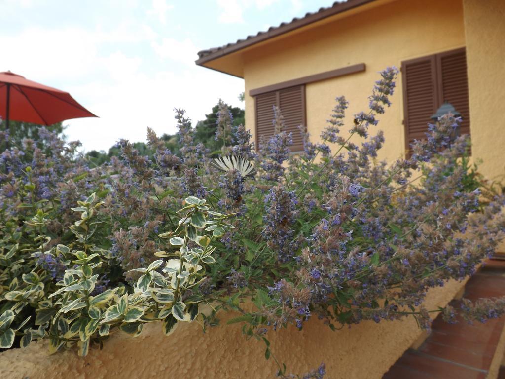 Rifugio Al Sole Villa Reggello Dış mekan fotoğraf