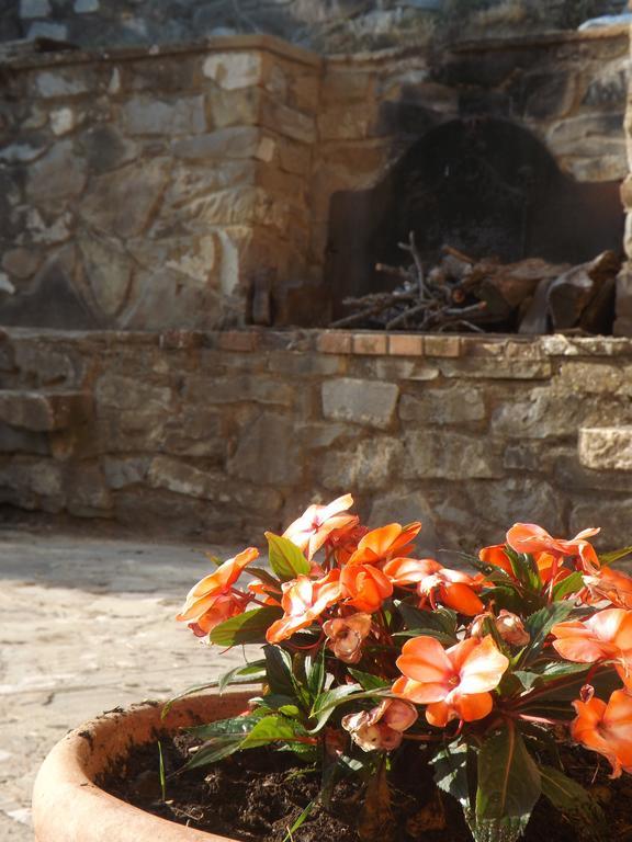 Rifugio Al Sole Villa Reggello Dış mekan fotoğraf